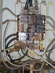 430E49CA-809E-404D-9276-A5BF92B37FFC.jpeg